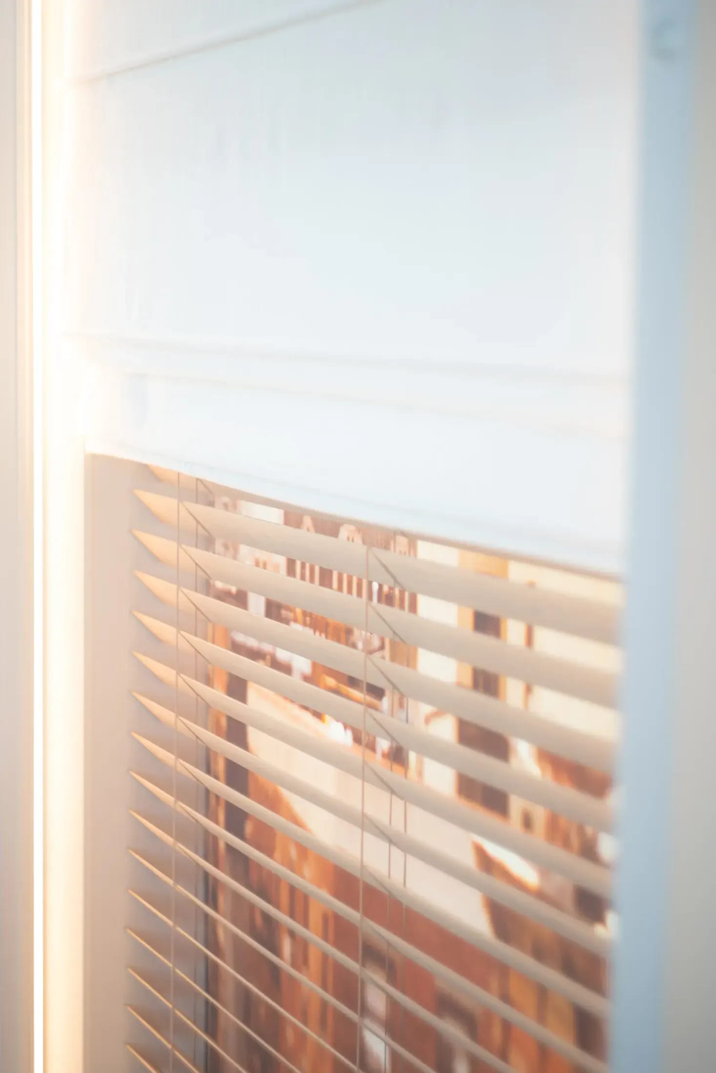 Houten jaloezie in warm tegenlicht in de showroom.